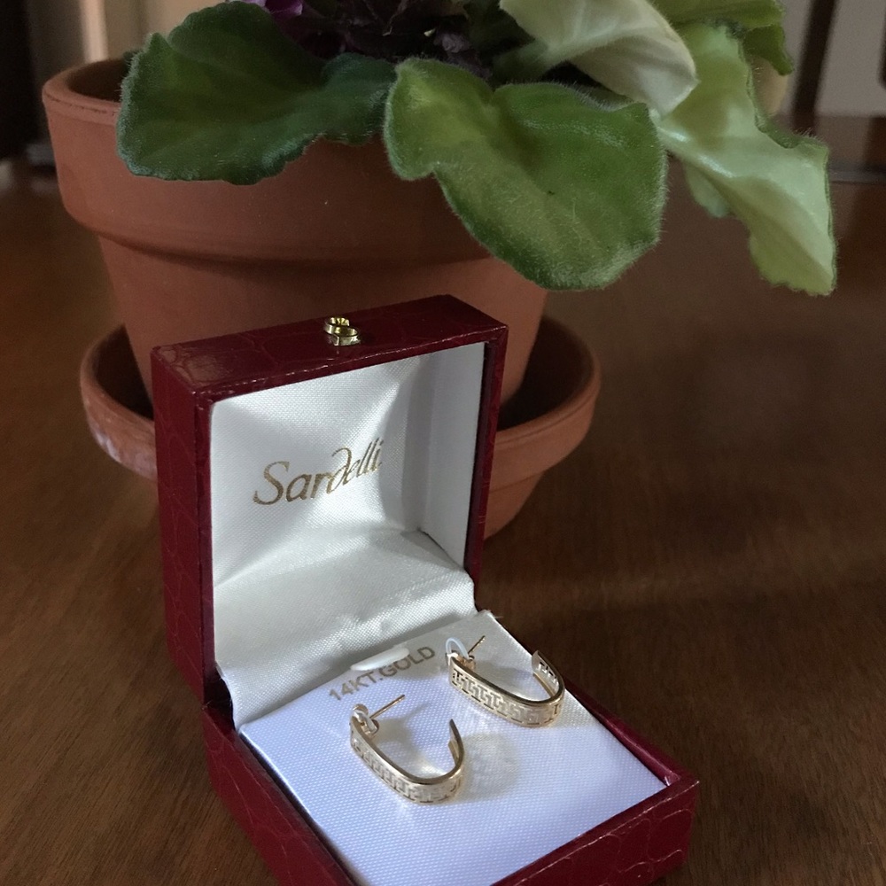 Sardelli 14k gold earrings NWT